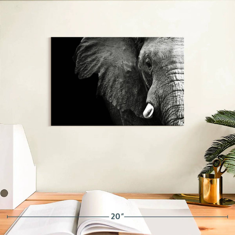 Éléphant Wise, H 8 po x l 12 po