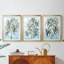 «Candy Palm Fresco II», reproduction sur mesure encadrée de qualité supérieure - 3 pièces-226995901-226995906