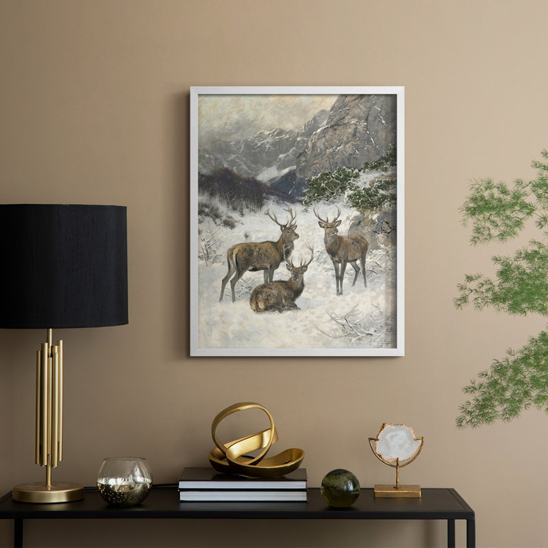 Vintage Animal Print XIX Framed Print - Solid Wood, 11" H x 9" W, White