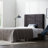 Ashala Upholstered Panel Headboard-706127470-706127461