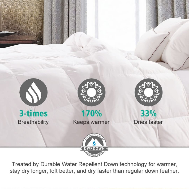  All Season High Power RDS Duvet Insert Warmth Queen Size Goose Down Feather Comforter, Queen Down Comforter