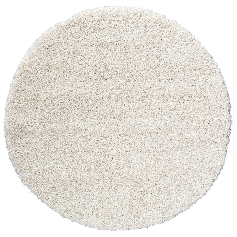 Parsegh Solid Colour Shag Area Rug