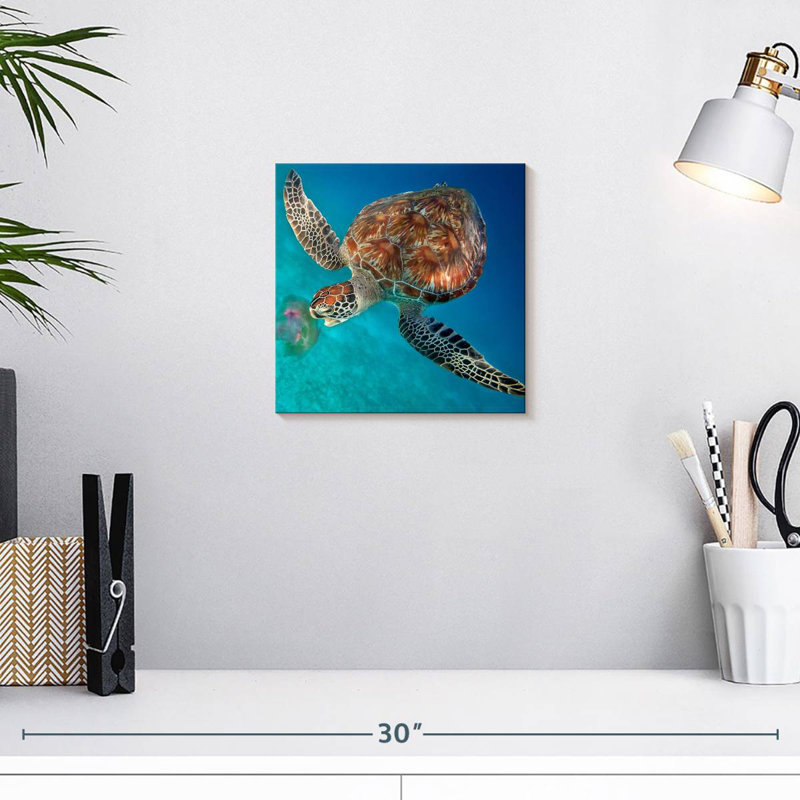 Crowle Turtle Eating Jellyfish, H 10 po x l 10 po