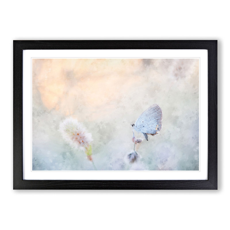 Tailed-Blue Butterfly - Picture Frame Painting Print, Black Framed, 62cm H x 87cm W x 2cm D