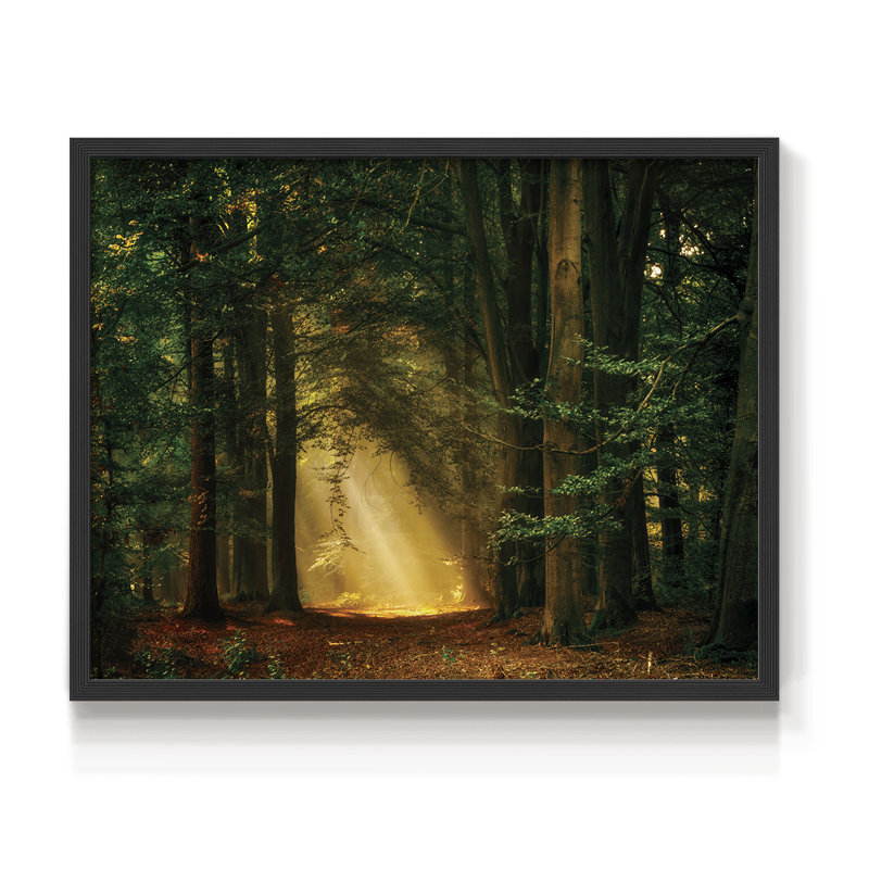 Shine On -Framed Print - Restickable, 22" H x 28" W, Black
