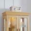 Vitrine lumineuse vitrée