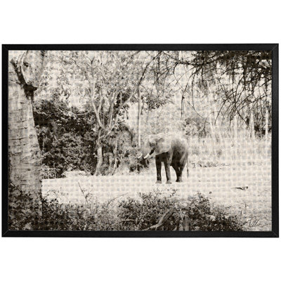 Elephant Jungle - Single Picture Frame Print