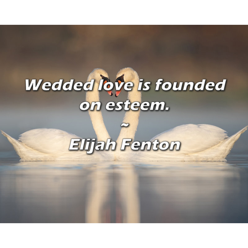 Elijah Fenton Citation: L'amour matinal repose sur l'estime.