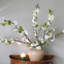 Artificial Cherry Blossom Faux Floral-526748643