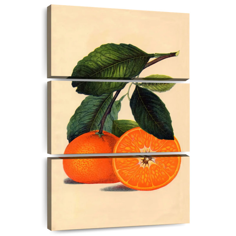 Yarlin Satsuma Orange 1887, 45" H x 28" W