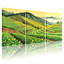 «Tea Fields Rolling Hills Mountain Landscape», ensemble de 3 impressions sur toile-1478609025