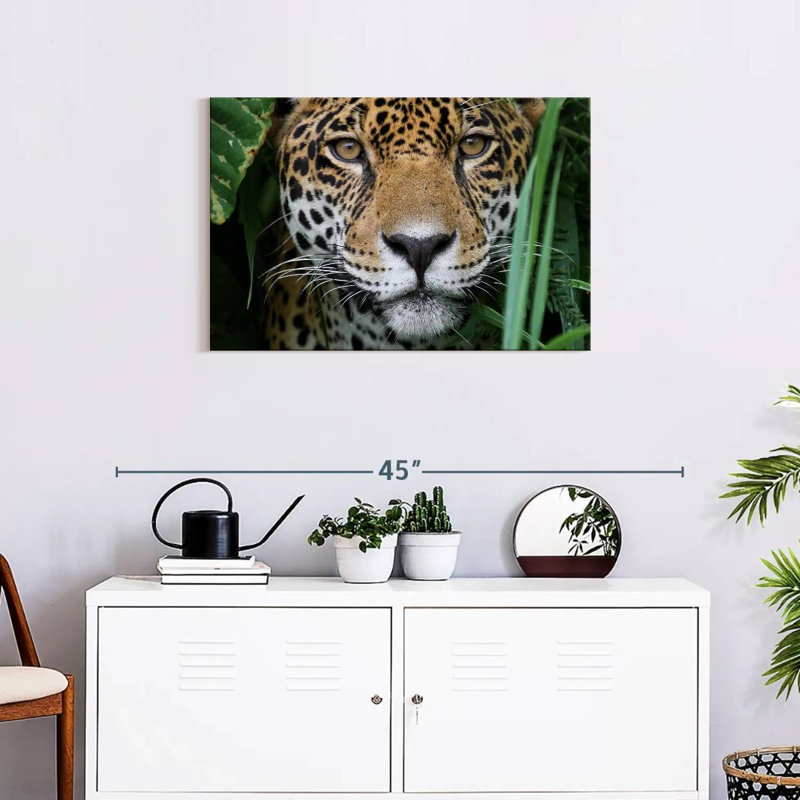 Brampt Amazon Jungle Jaguar, 20" H x 30" W