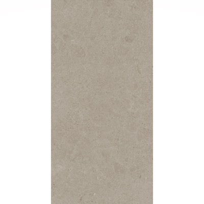 Artistic Freedom 12"X24" Porcelain Stone Look