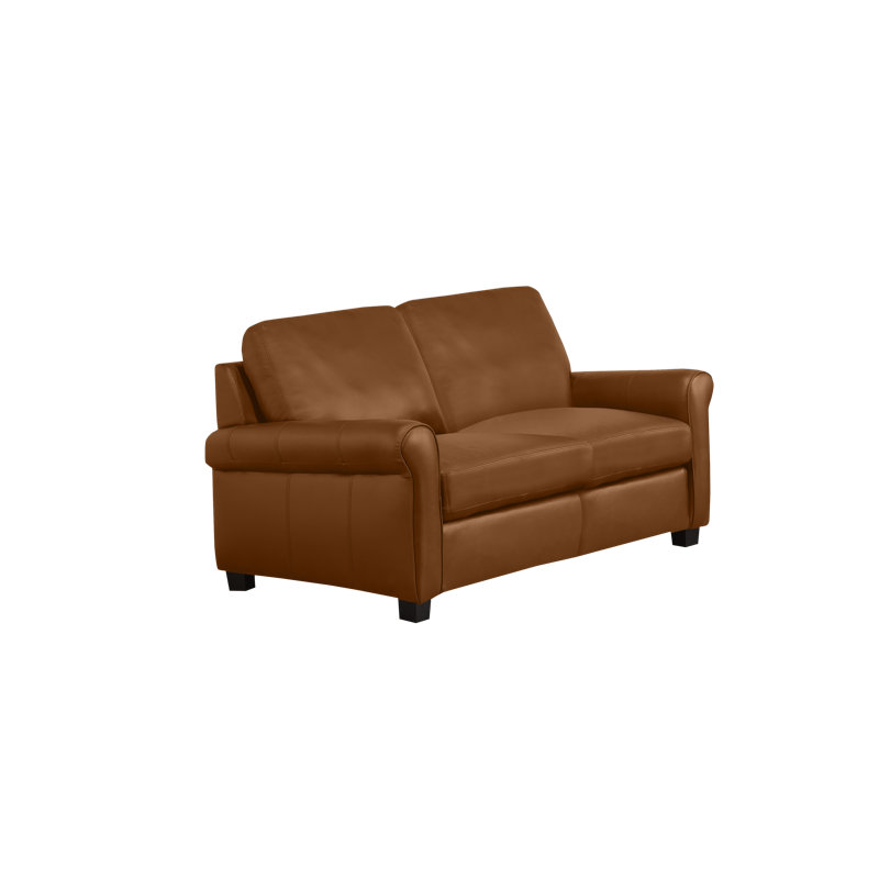 Canapé Ambrie, Cuir véritable brun moyen, H 36 po x l 58 po x P 37 po