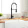 RENIST Spring Pull Down Kitchen Faucet