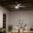 56'' Ceiling Fan with LED Lights