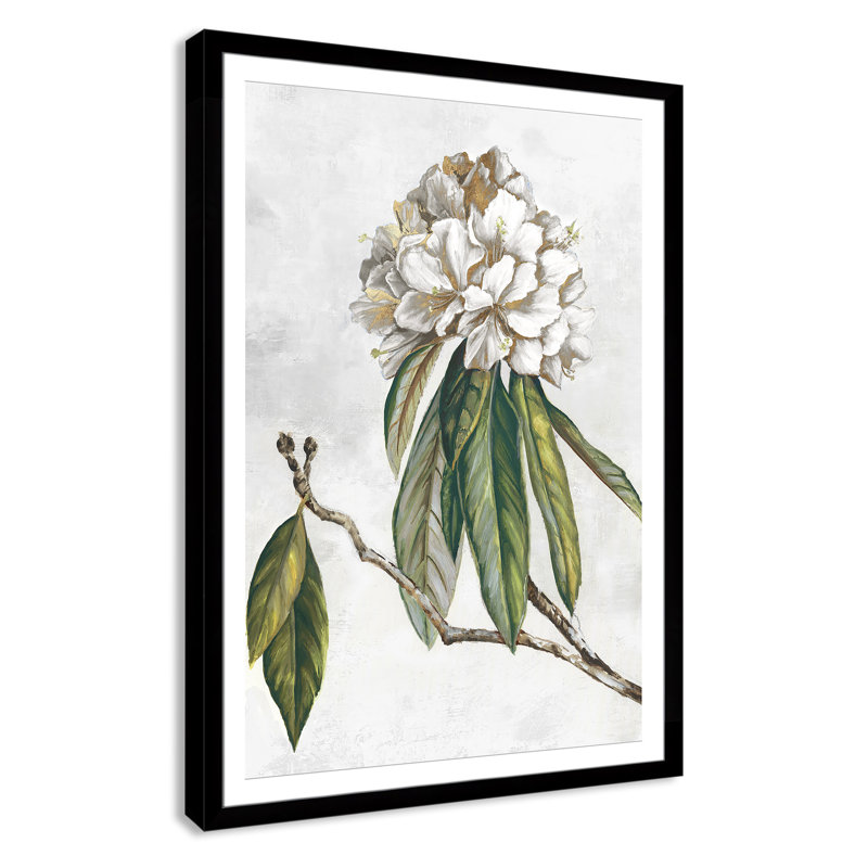 «Pearly Beauty II» par Eva Watts, L 39 po x H 55 po, Imprimé mat, Satin Black
