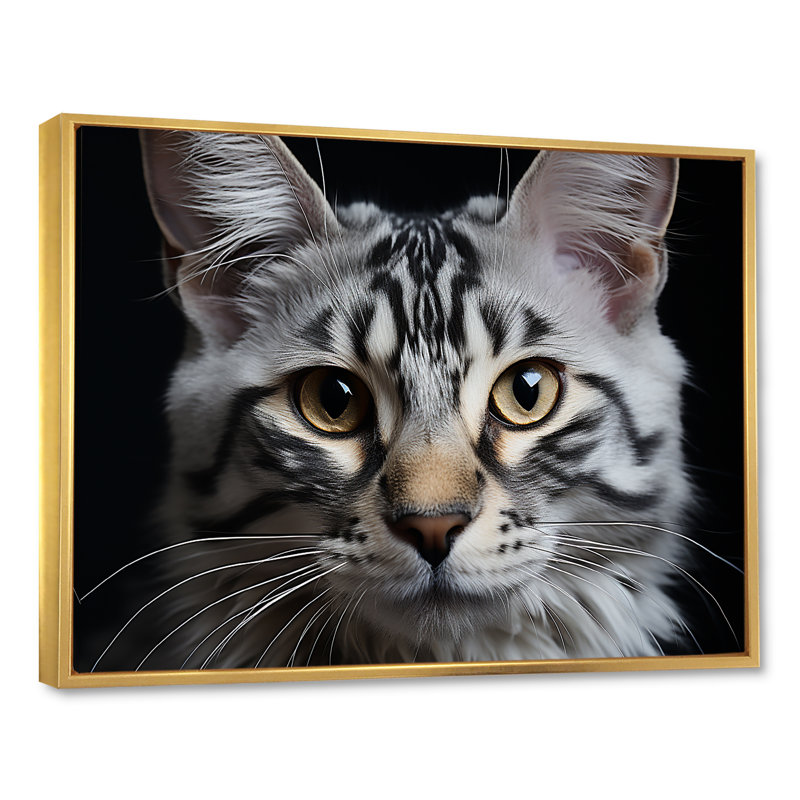 Bengal Rhapsody Cat - Cat, reproduction d'art sur toile, H 34 po x l 44 po, Cadre flottant doré