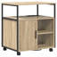 Storage Cabinet-1984504643