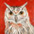 Colorful eagle owl - 32"x32" art on canvas