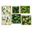 Meka - Ensemble de 5 impressions murales sur plantes-103333531