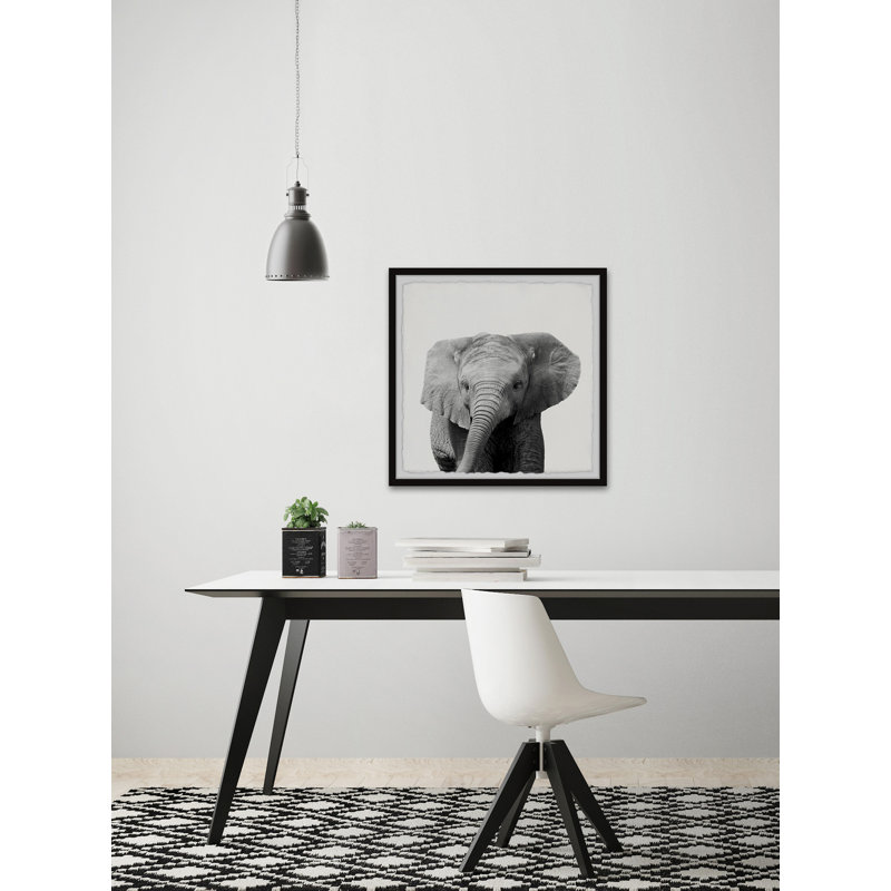 King Of The Elephants by Maria Giovanni - Single Picture Frame Print, 41cm H x 41cm W x 3.81cm D