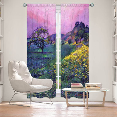Delaughter Room Darkening Curtains / Drapes Pair