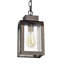 Luminaire suspendu rectangulaire à 1 lumière Abram-22255796