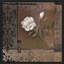 Rose tapisserie II (carré)-360444592-360444598
