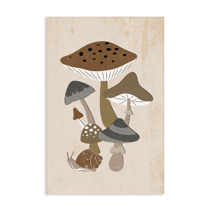 Champignons terreux et toile d'escargot, design par Martina Pavlova, 30 x 20