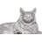 Resin Cat Figurine, Silver Leaf