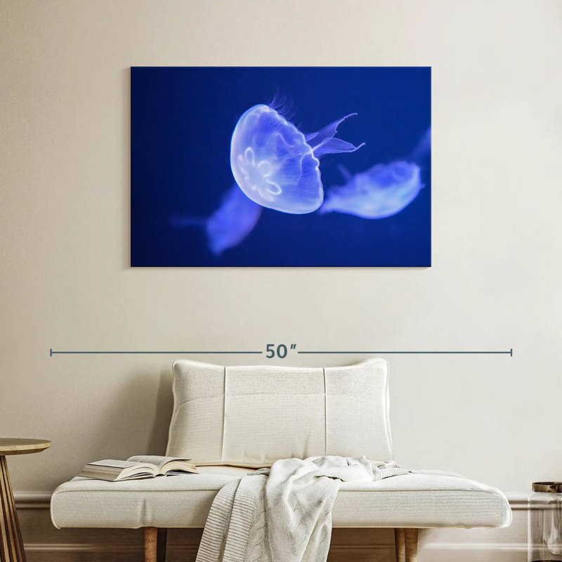 Crowle Sea Moon Jellyfish, H 26 po x l 39 po