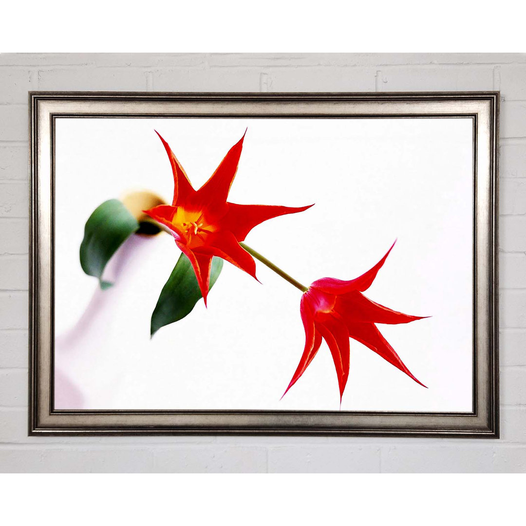 Gerahmtes Wandbild Twin Fire Tulip Centre