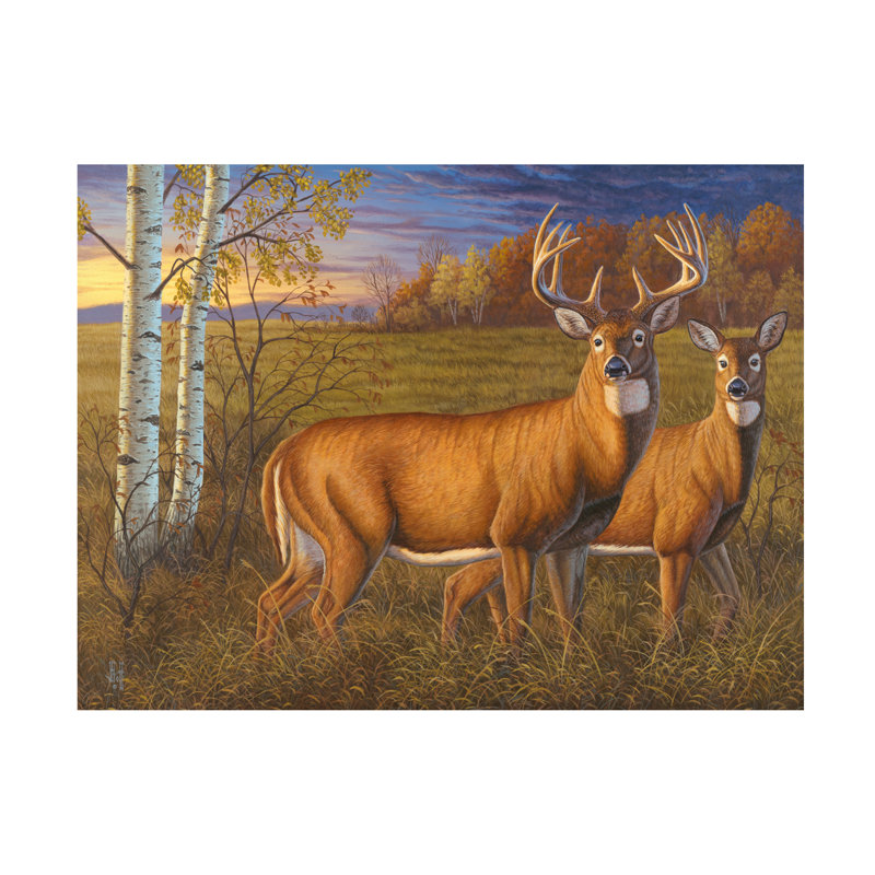 Art sur toile Jeff Hoff Whitetail Dawn, H 14 po x l 19 po