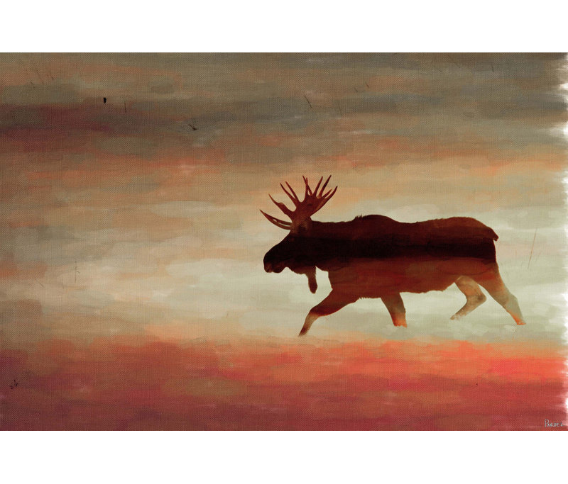 Parvez Taj - Wrapped Canvas Print, 30cm H x 45cm W