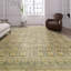Oriental Area Rug in Gray