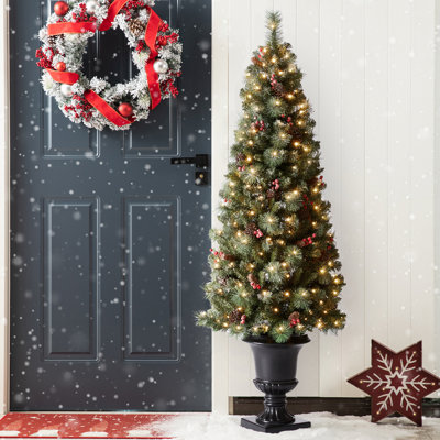 Arbre de Noël cyprès Heyden