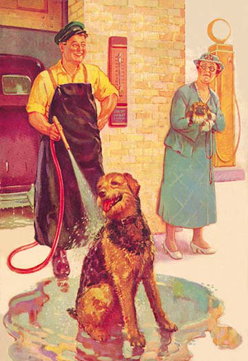 « dog délavé », reproduction d’art, H 42 po x l 28 po x P 1,5 po