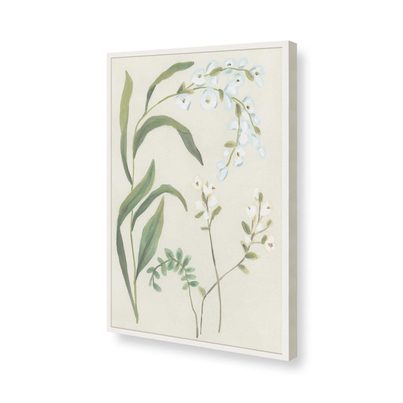 «Snowdrop Stems I» par June Erica Vess, reproduction d'art sur toile, H 16 po x l 12 po, Blanc