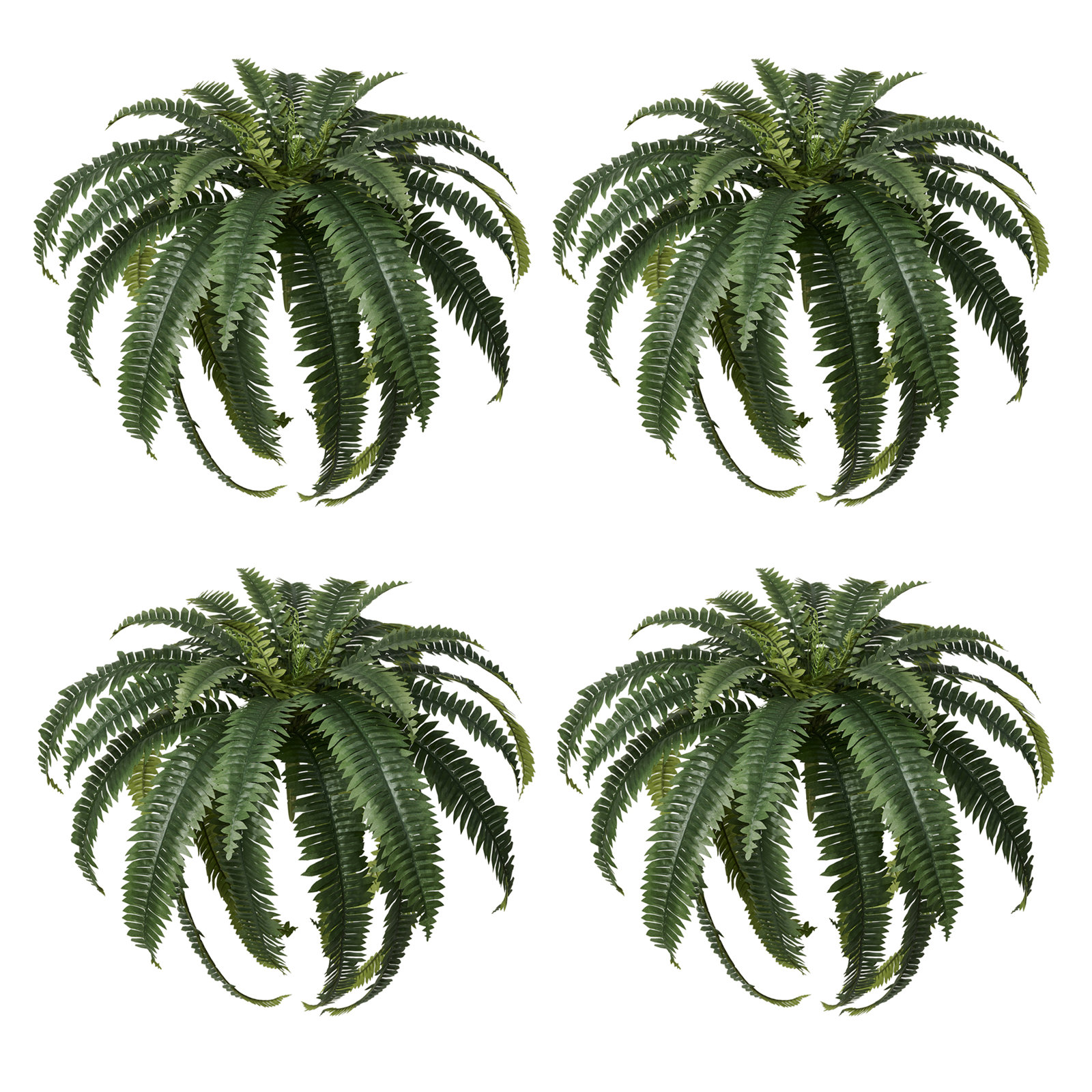 Adcock 39" Fern Plant, 4