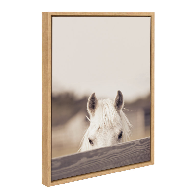 «Equine» par Robert Cadloff, reproduction d'art sur toile encadrée, H 24 po x l 18 po x P 1,62 po