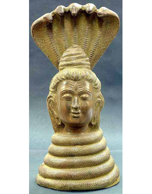 Shiva As Nagaraja