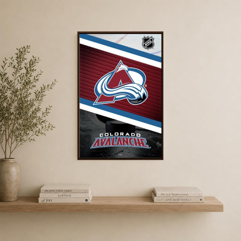 Décoration murale Colorado Avalanche NHL, H 36 po x l 24 po, Cadre plat flottant, Brown