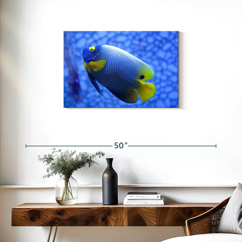 Angelfish bleu corail Brampt, H 20 po x l 30 po
