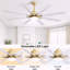 Ventilateur de plafond 66 pouces à profil bas en ABS avec lumières à intensité variable et moteur à courant continu réversible silencieux à 6 vitesses pour l'intérieur-1266388922-1266388917