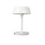 Metal Novelty Lamp