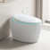 YULIKA 1.31 Gallons Per Minute GPF Elongated Floor Mounted Bidet Smart Toilet with Water Tank