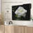 Dewdrops On White Rose Canvas Print-102858802