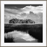 Marsh In Black & White Giclee Print by Soicher Marin Archives