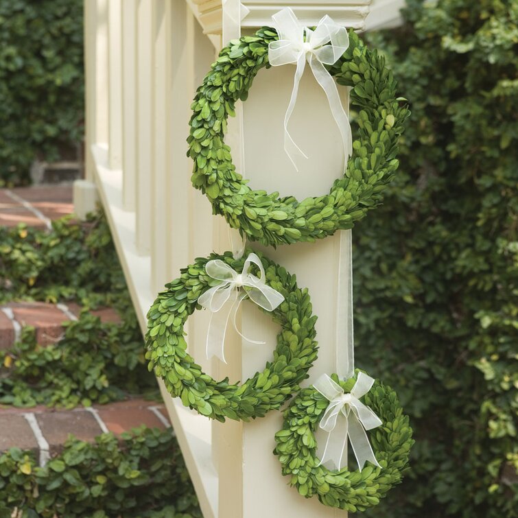 Mills Floral Preserved Boxwood Round Wreath Set with Ribbon